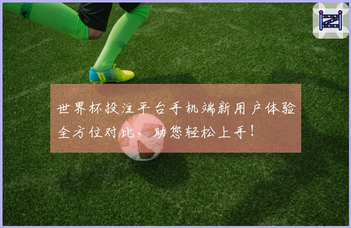 世界杯投注平台手机端新用户体验全方位对比，助您轻松上手！