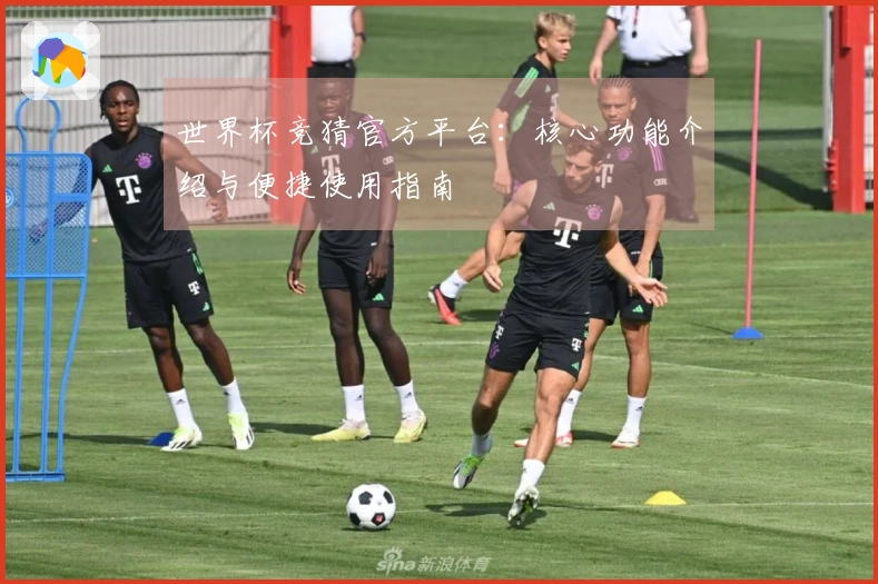 世界杯竞猜官方平台：核心功能介绍与便捷使用指南