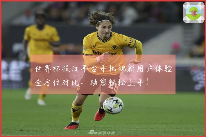 世界杯投注平台手机端新用户体验全方位对比，助您轻松上手！